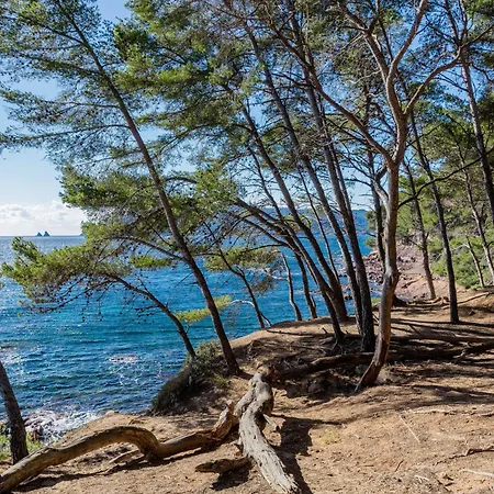 Superbe Studio Avec Terrasse Proximite Plage Saint-Mandrier-sur-Mer Buitenkant foto