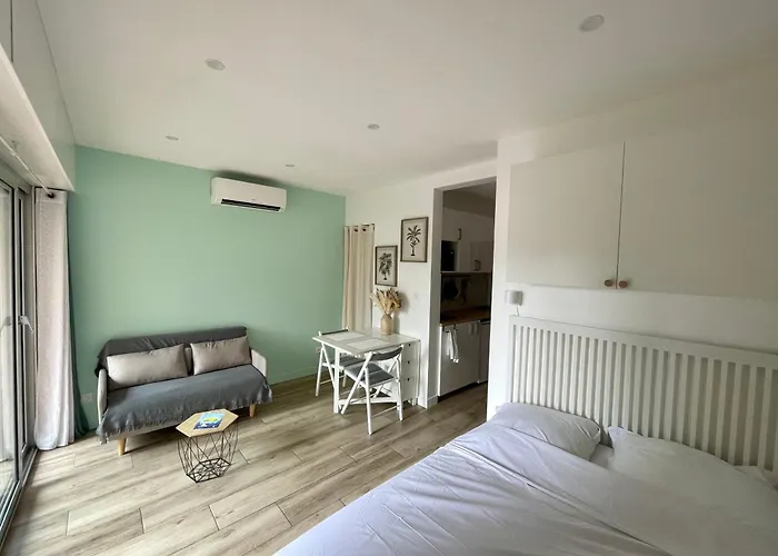 Superbe Studio Avec Terrasse Proximite Plage